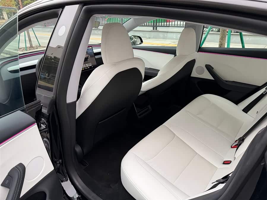 Tesla Model 3 2024 car image #8