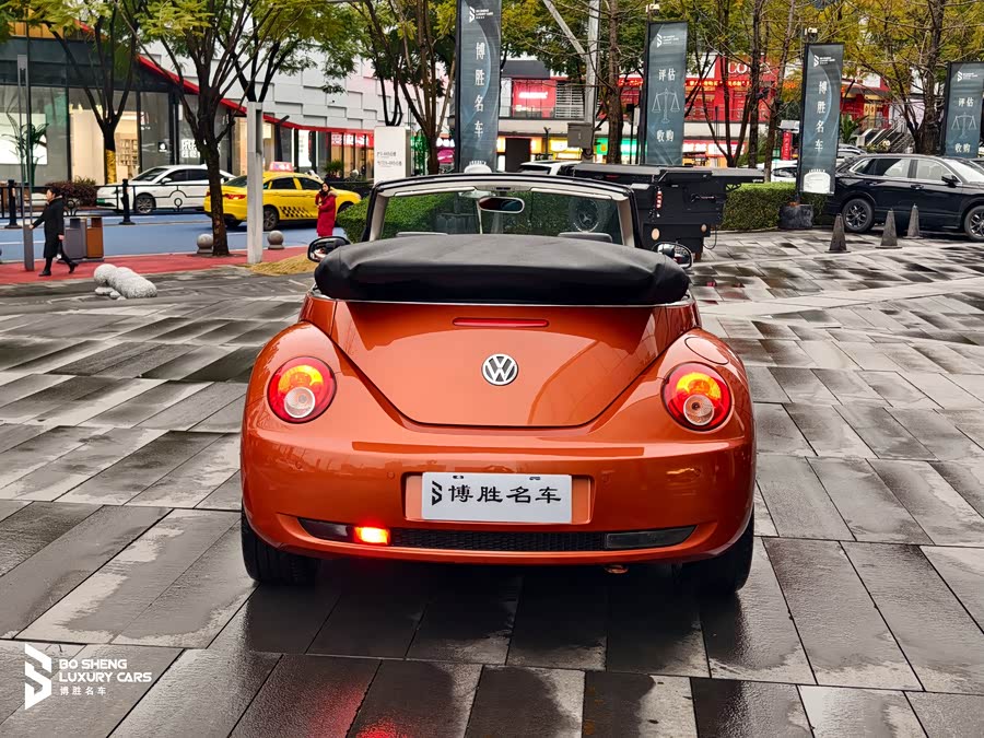 Volkswagen Beetle 2010 immagine di auto #8