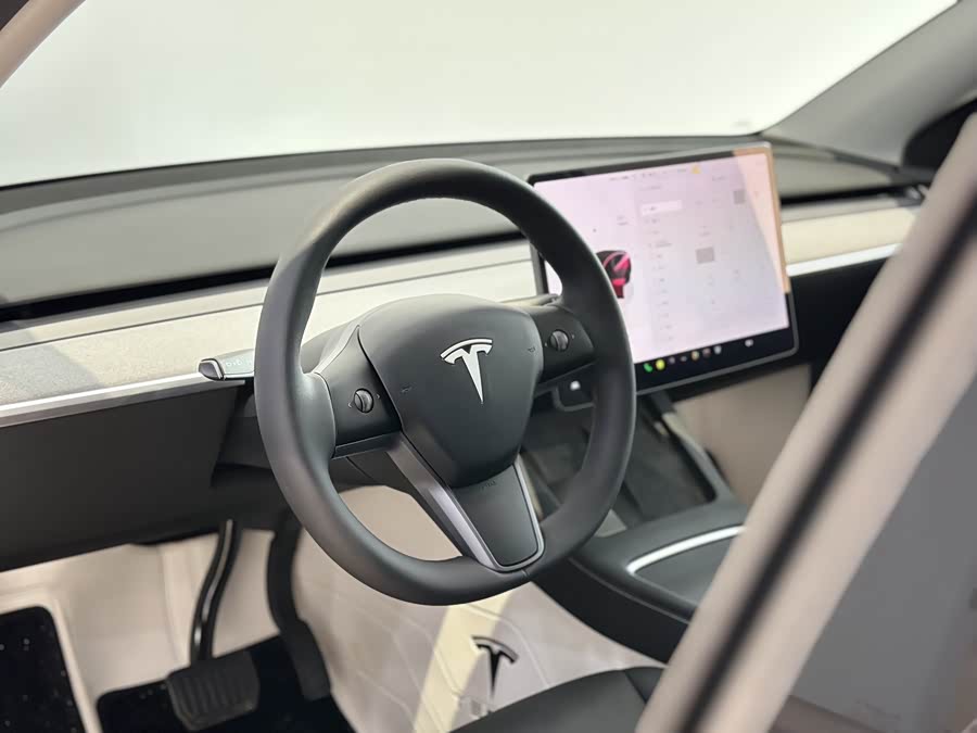 Tesla Model Y 2024 car image #8