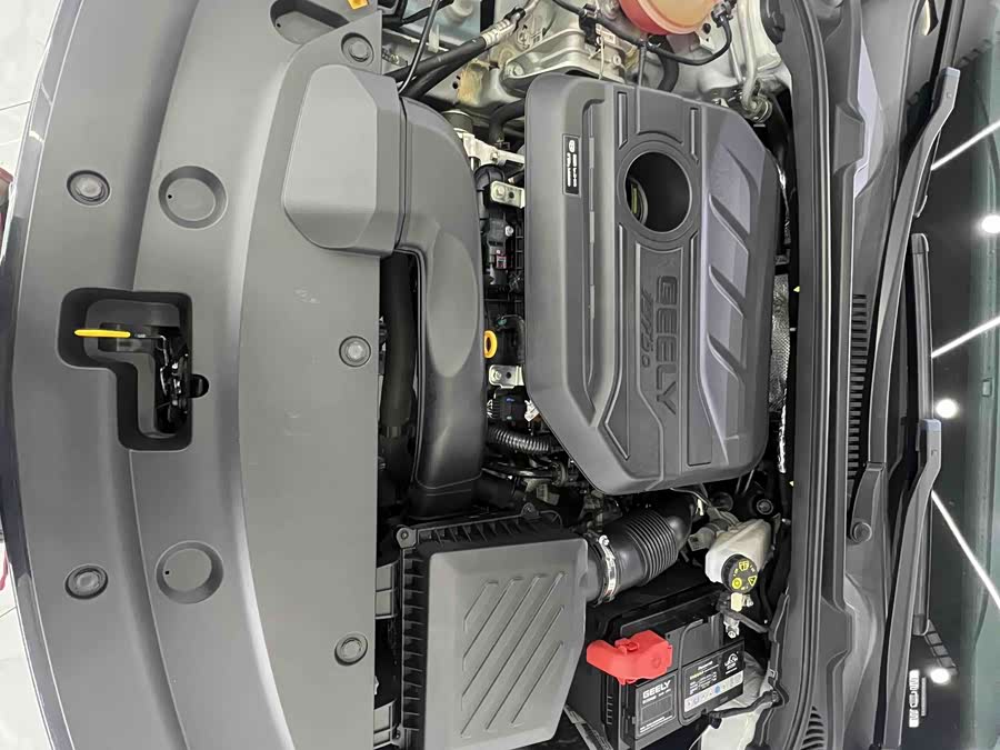 GEELY Emgrand L 2022 immagine di auto #8