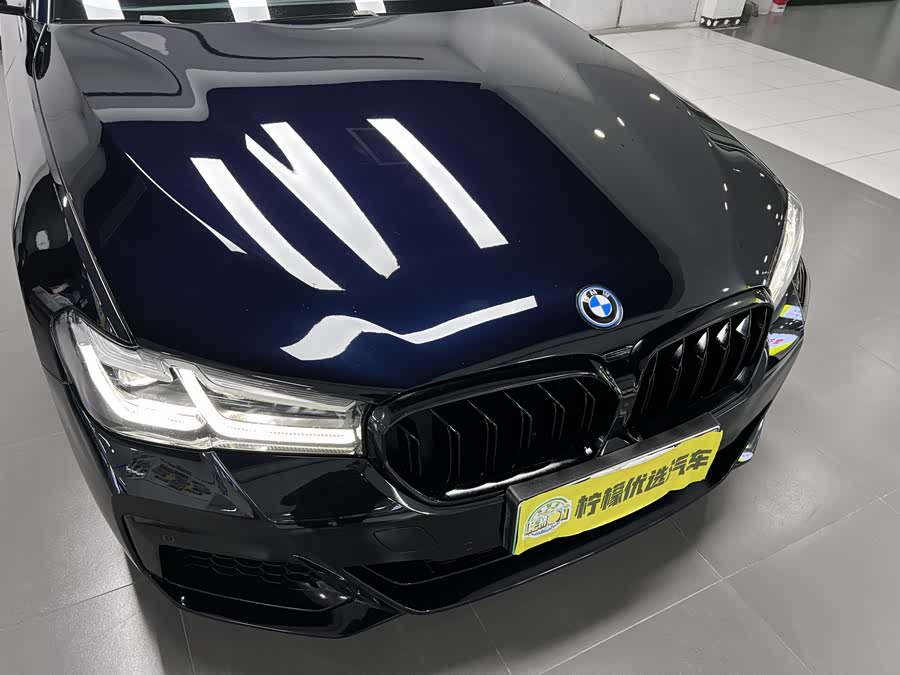 BMW 5 Series New Energy 2021 car image #8