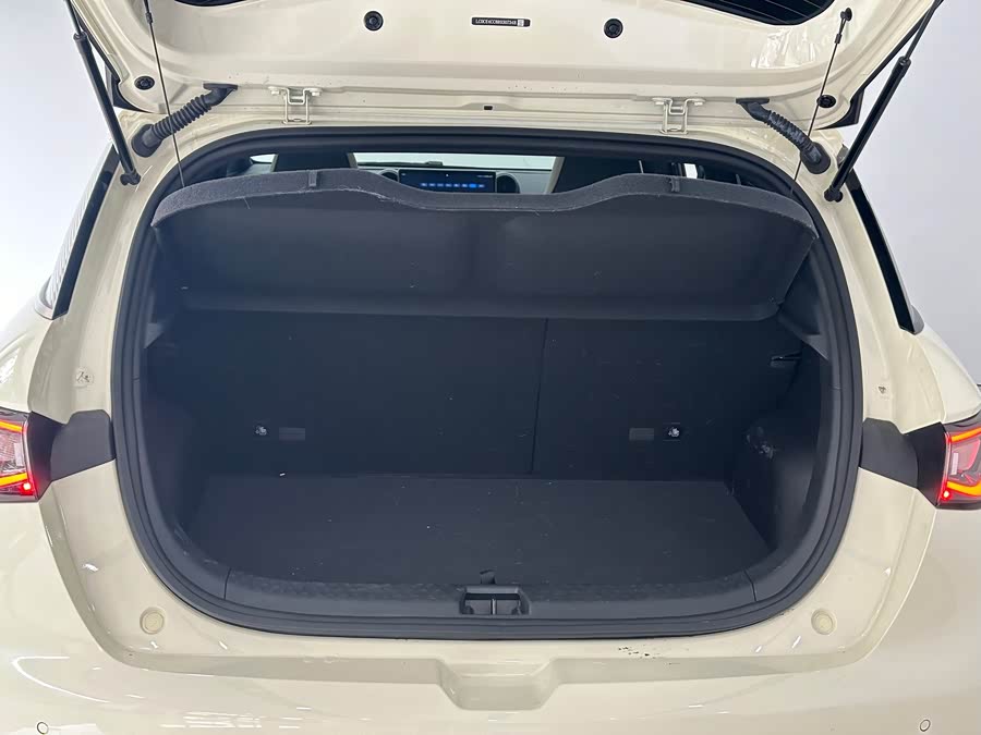 BYD Dolphin 2024 immagine di auto #8