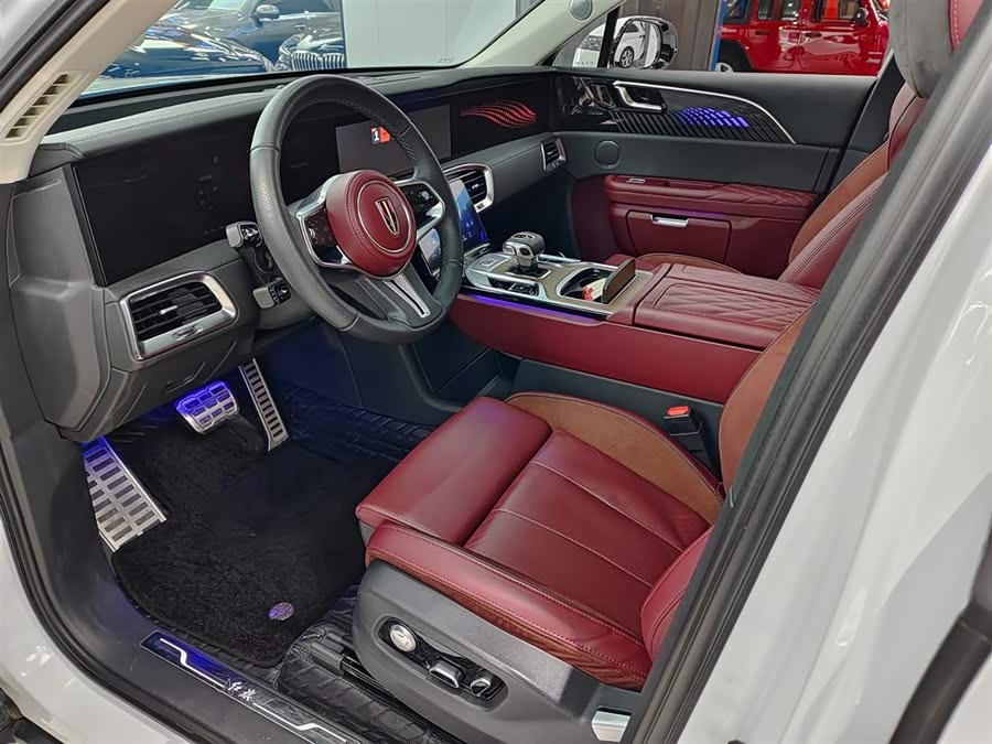 HongQi E-HS9 2024 image de voiture #8