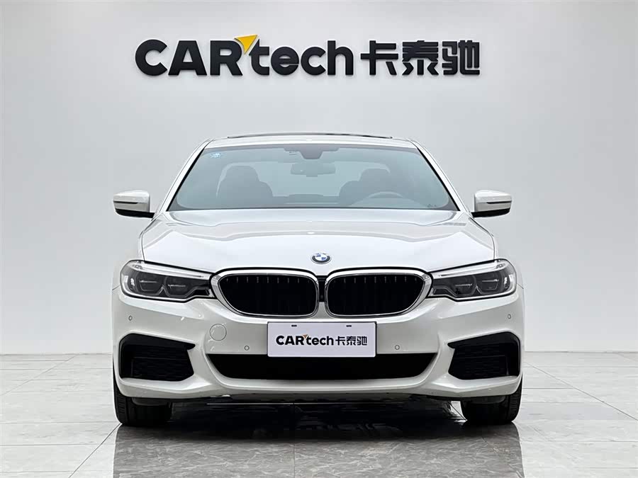 BMW 5 Series 2020 car image #8