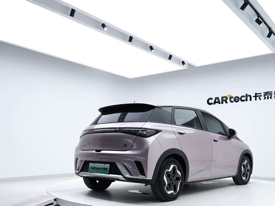 BYD Dolphin 2023 immagine di auto #8