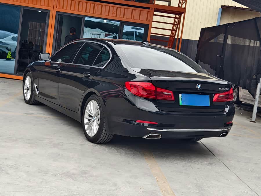 BMW 5 Series New Energy 2020 car image #8