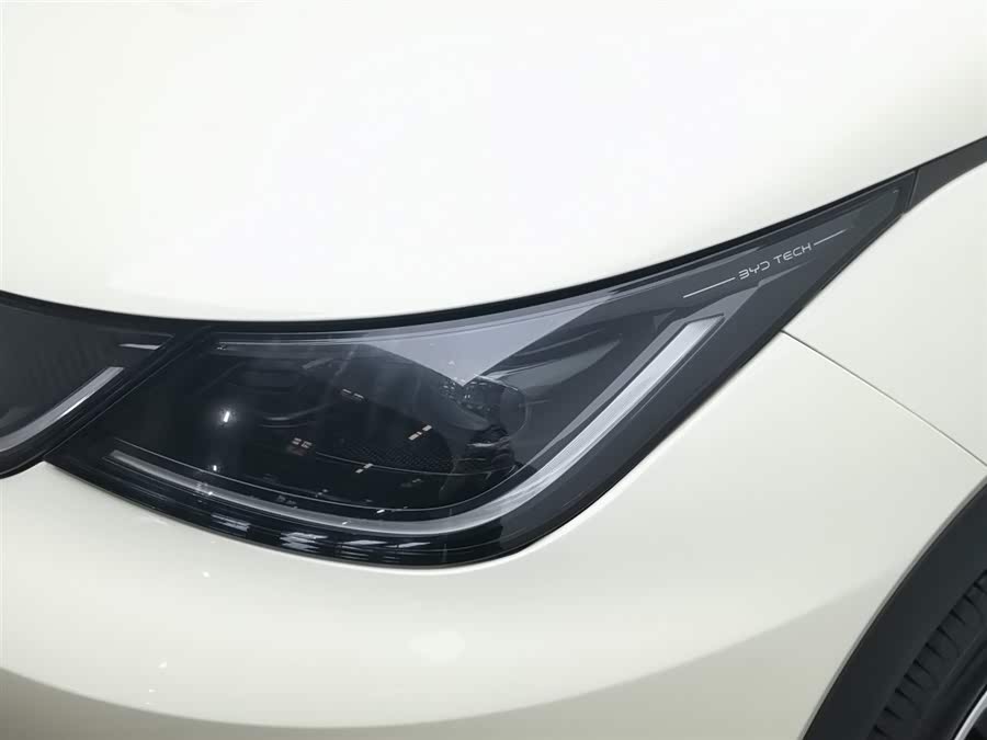 BYD Dolphin 2025 car image #8