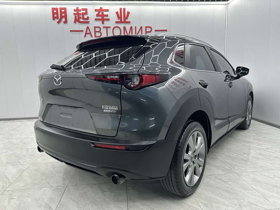 Mazda CX-30 2021 car image #8
