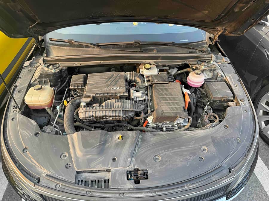BYD Destroyer 05 2024 car image #8