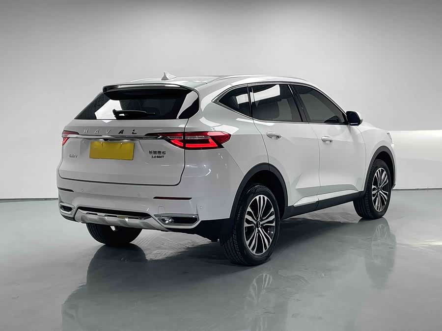 Haval F7 2019 car image #8