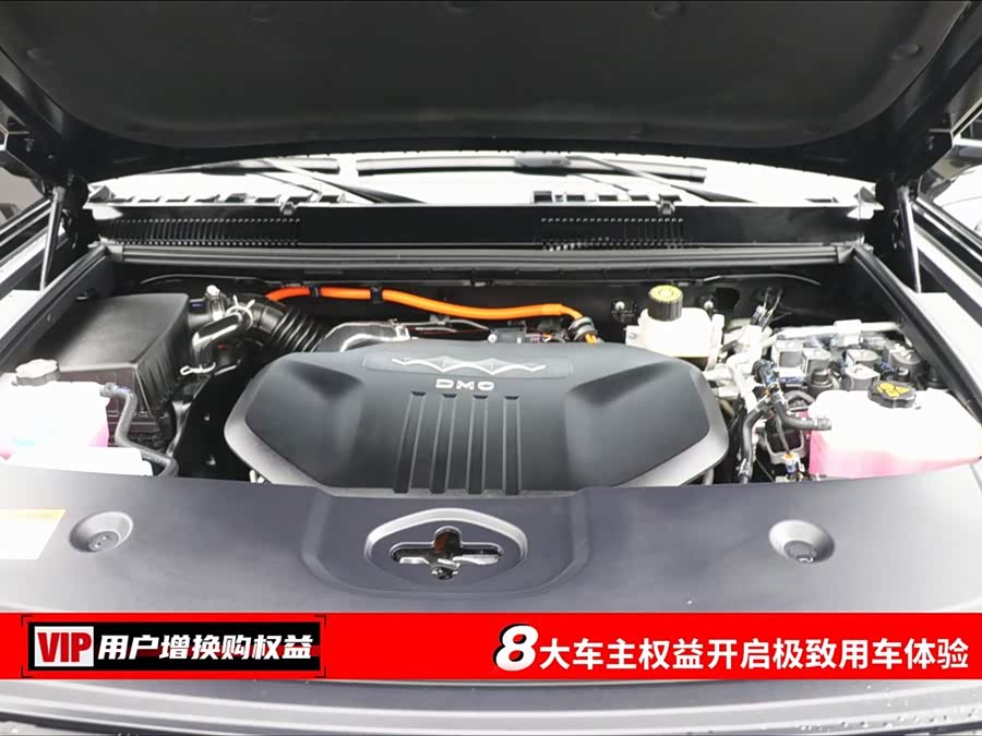 FangChengBao Leopard 5 2025 car image #8