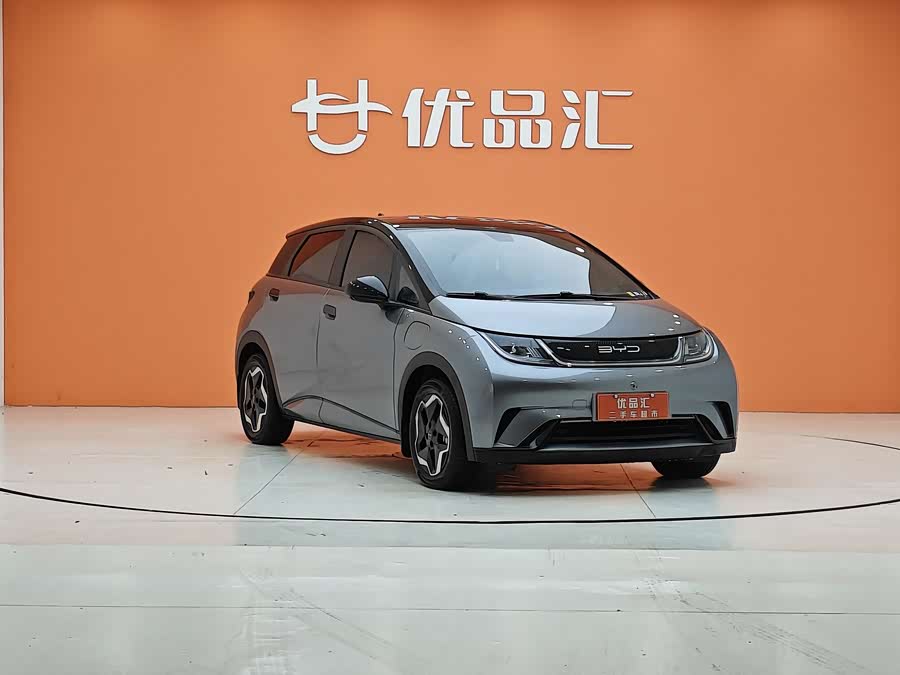 BYD Dolphin 2022 car image #8