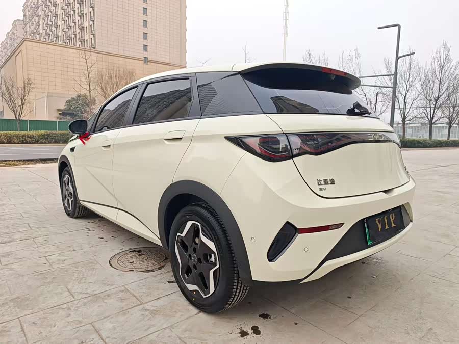 BYD Dolphin 2025 car image #8