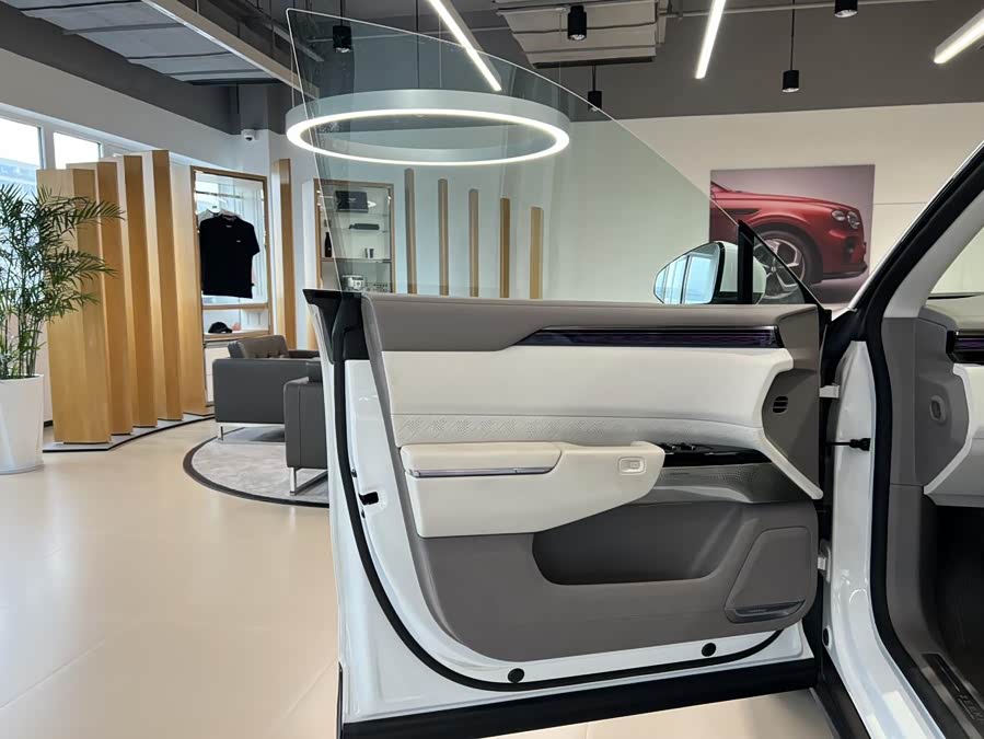 极氪 极氪7X 2024 汽车图片 #8