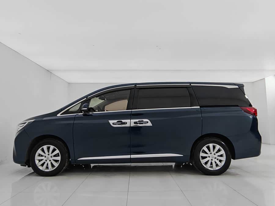 GAC Trumpchi M8 2018 car image #8