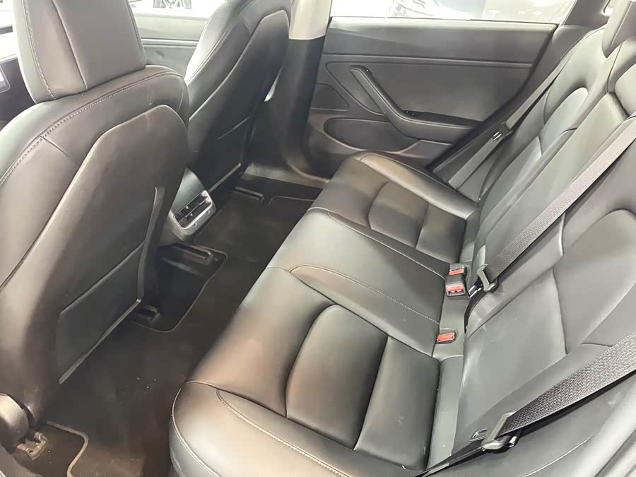 特斯拉 Model 3(进口) 2019 汽车图片 #8