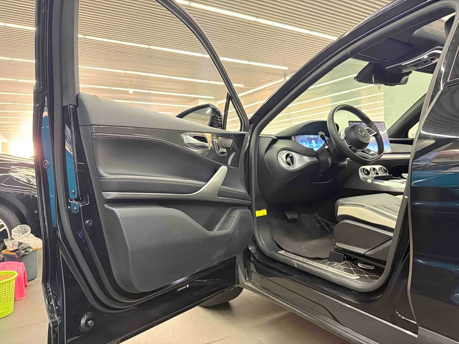 Denza X 2020 car image #8