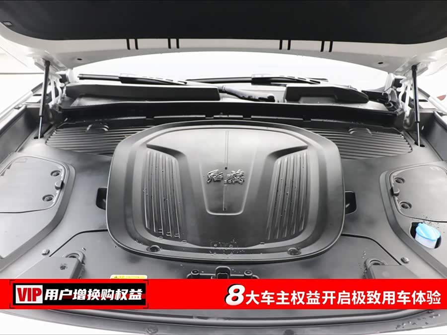 HongQi E-HS9 2023 изображение автомобиля #8