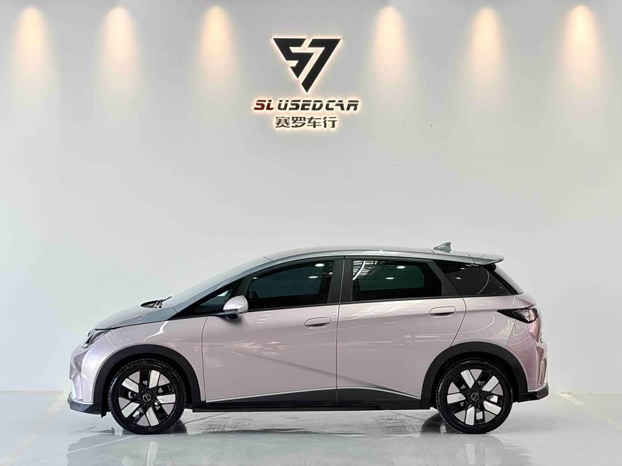 BYD Dolphin 2022 #8 BYD Dolphin 2022 car image #8