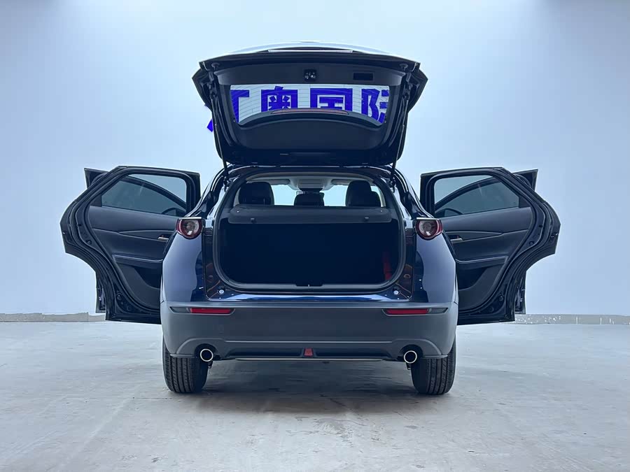 Mazda CX-30 2021 car image #8
