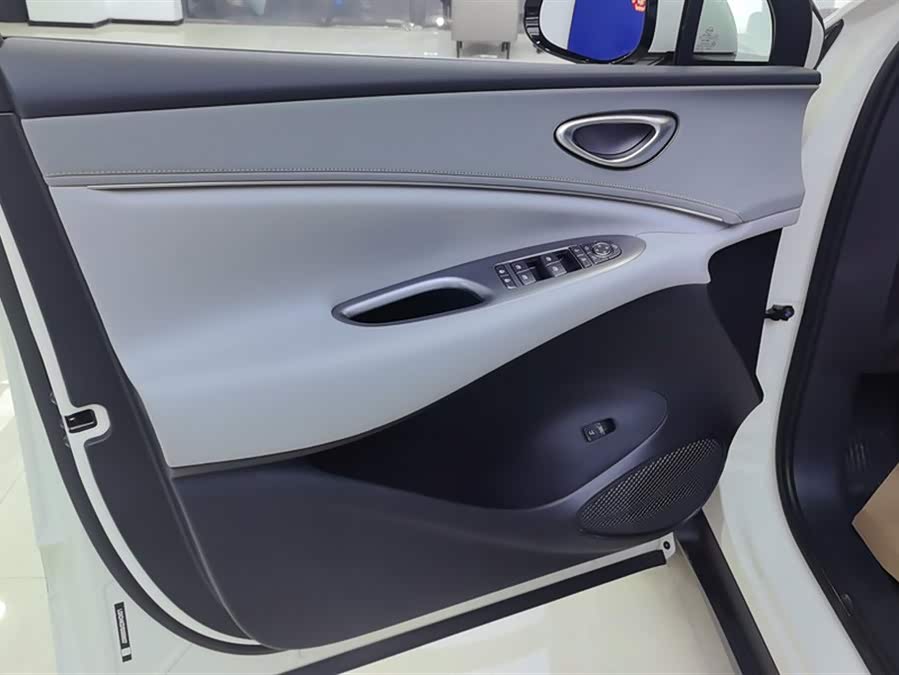 BYD Sea Lion 06 New Energy 2025 car image #8