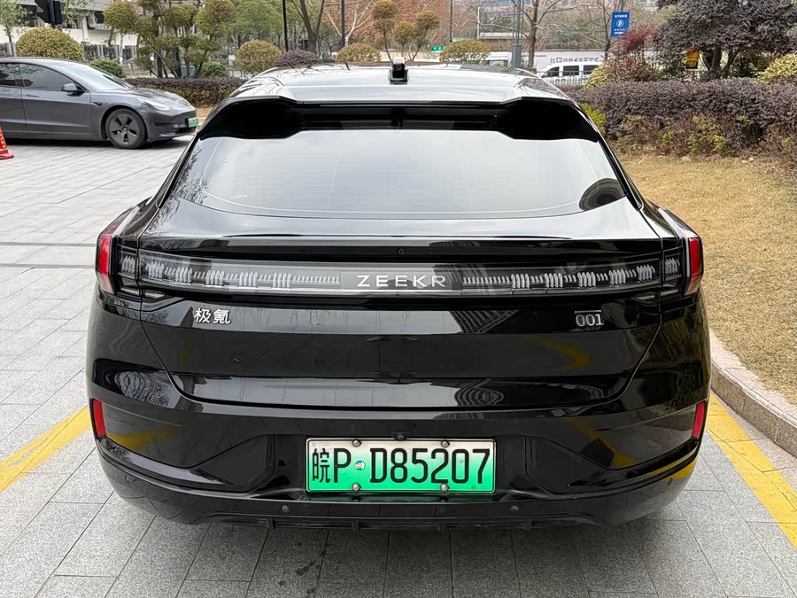 极氪 极氪001 2023 汽车图片 #8