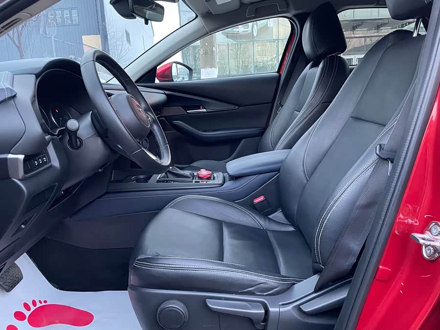 Mazda CX-30 2020 car image #8
