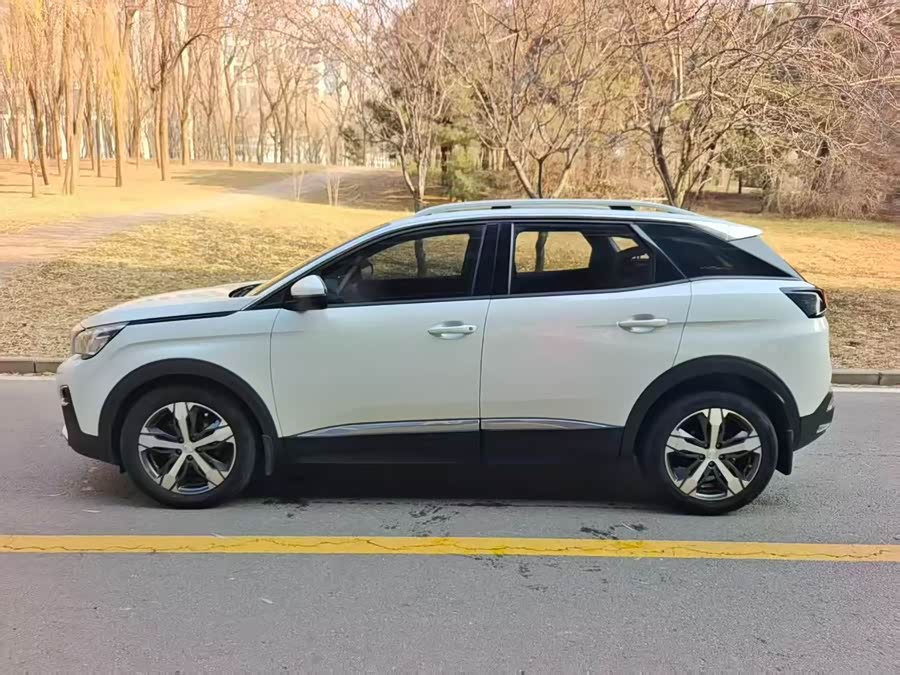 Peugeot 4008 2020 car image #8