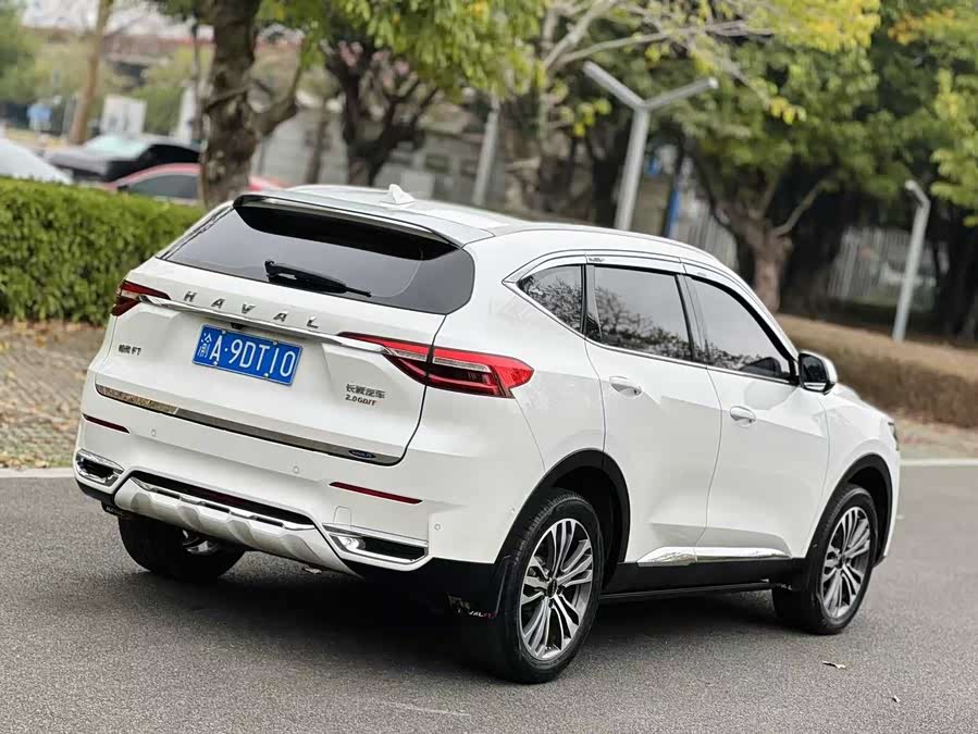 Haval F7 2020 #8 Haval F7 2020 car image #8