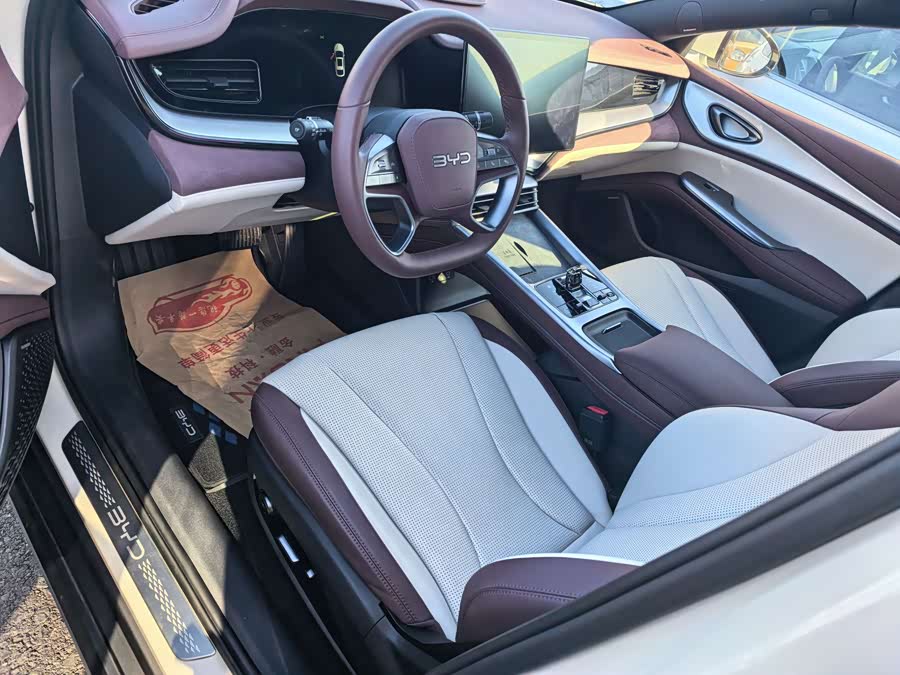 BYD Seal 07 DM-i 2025 car image #8