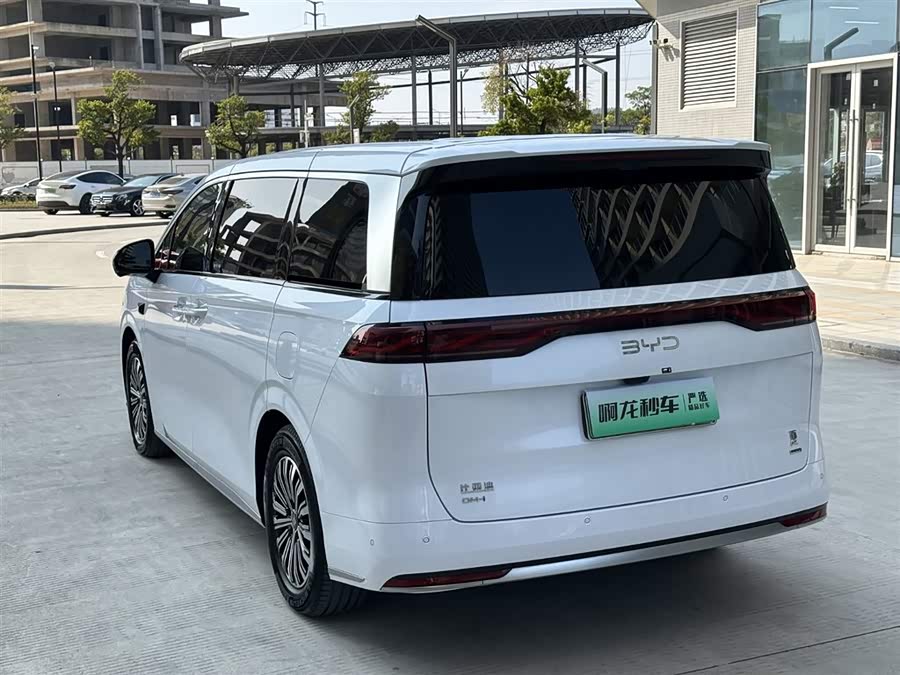 BYD Xia 2024 imagen de coche #8