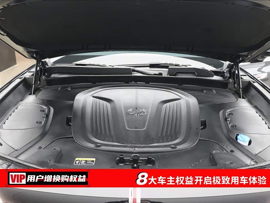 HongQi E-HS9 2023 immagine di auto #8