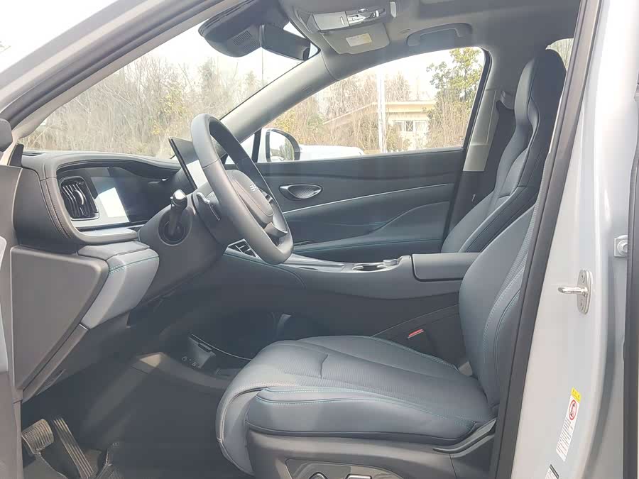 BYD Sea Lion 07 DM-i 2025 car image #8