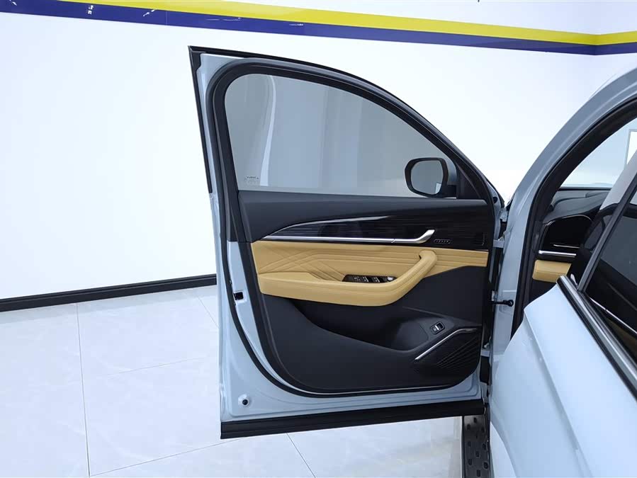 GEELY Monjaro EREV 2023 immagine di auto #8