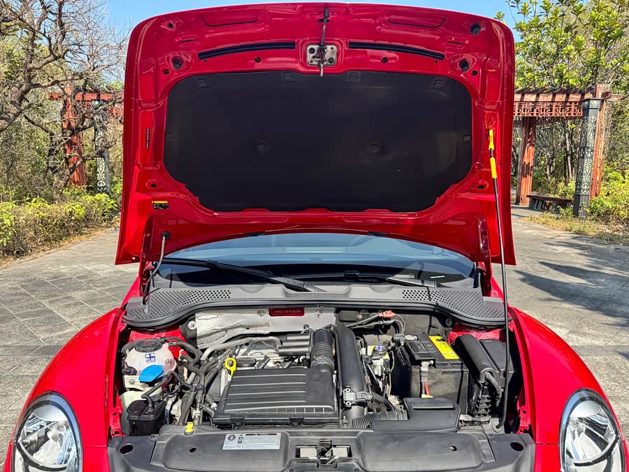 Volkswagen Beetle 2018 immagine di auto #8