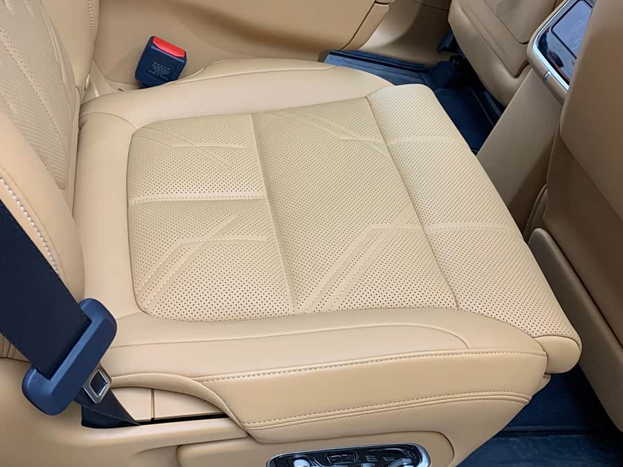 极氪 极氪9X 汽车图片 #8