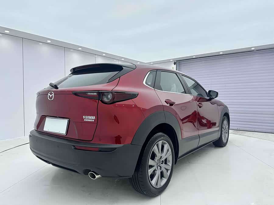 Mazda CX-30 2021 car image #8