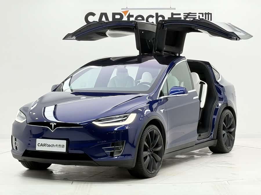 特斯拉 Model X 2019 汽车图片 #8