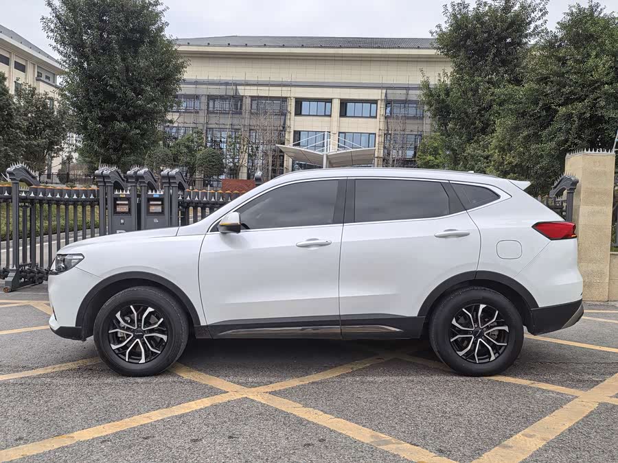 Haval H6 2023 car image #8