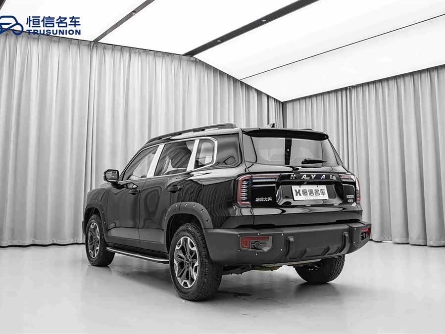 Haval X Dog / Dargo 2023 immagine di auto #8
