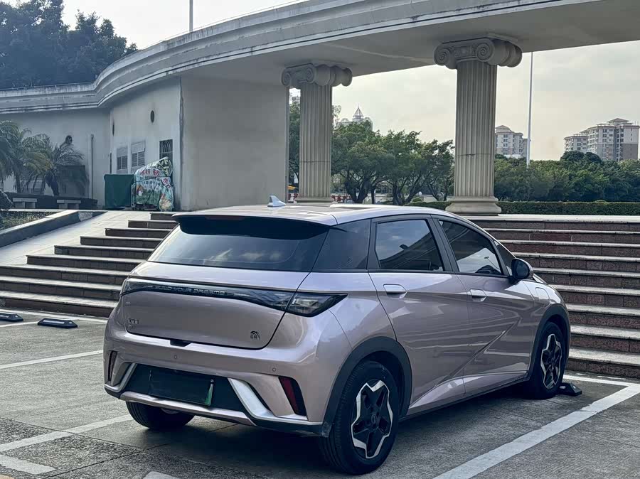 BYD Dolphin 2022 immagine di auto #8