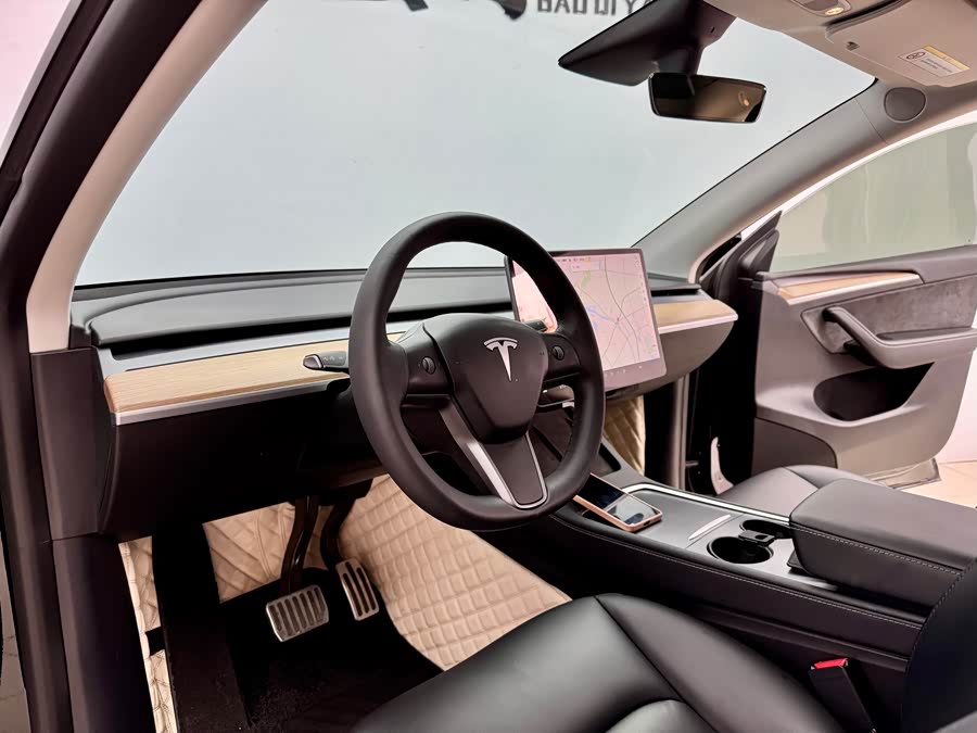 Tesla Model Y 2021 car image #8
