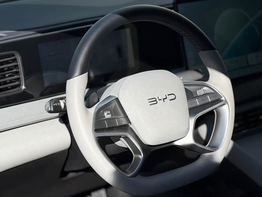 BYD Sea Lion 06 New Energy 2025 car image #8