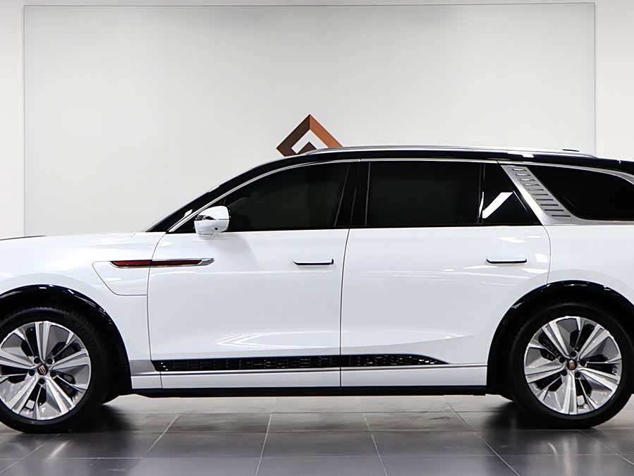 HongQi E-HS9 2023 immagine di auto #8