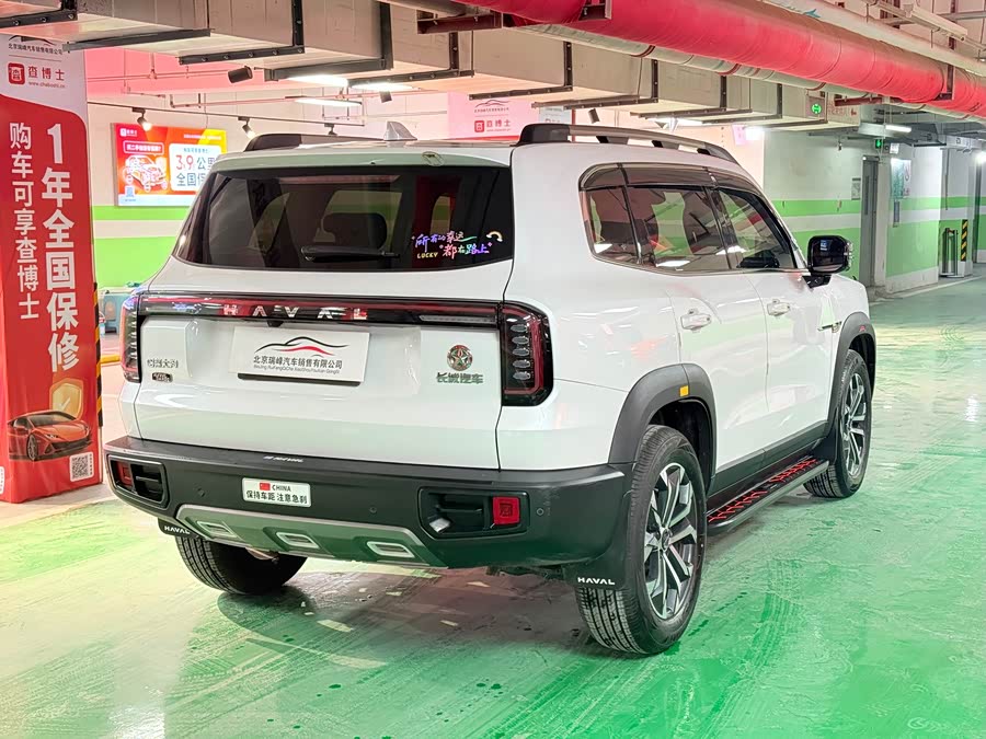 Haval X Dog / Dargo 2024 immagine di auto #8