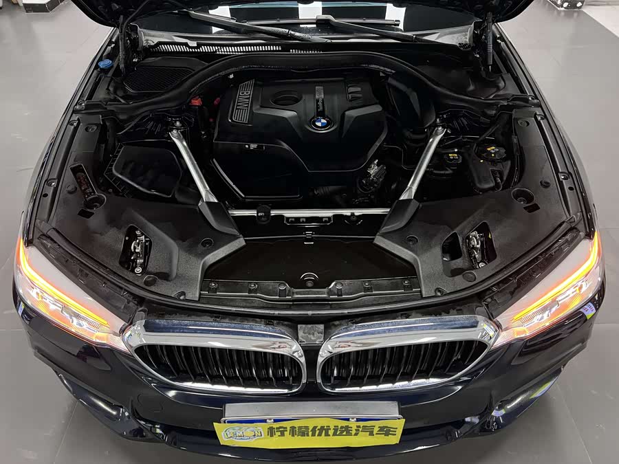 BMW 5 Series 2020 car image #8