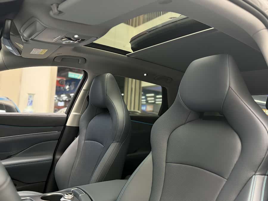 BYD Sea Lion 07 DM-i 2025 car image #8