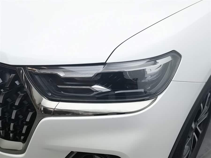 Haval H6 2023 immagine di auto #8