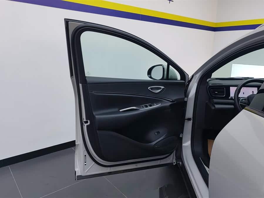 BYD Sea Lion 06 New Energy 2025 car image #8