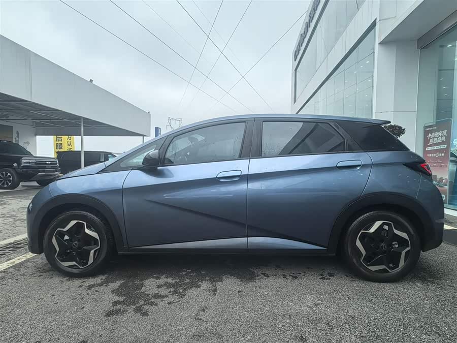 BYD Dolphin 2024 car image #8